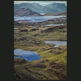 Summer in South Greenland