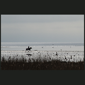 A rider and horse, Dokkedal, Himmerland